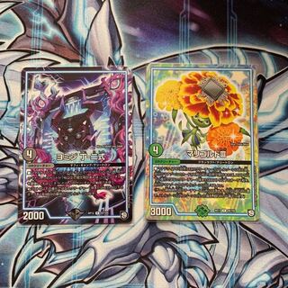 Marigold III Yomizi Ding - Type II