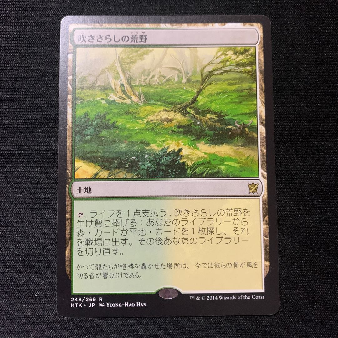 吹きさらしの荒野