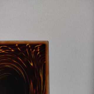 House Dragonmaid - different picture prisik - single piece