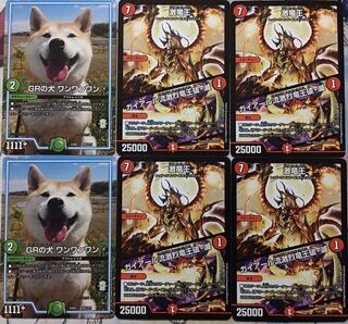 デュエマ BBP 激竜王／ガイアール流激烈竜王破・滅 4枚　ワンワンワン 2枚