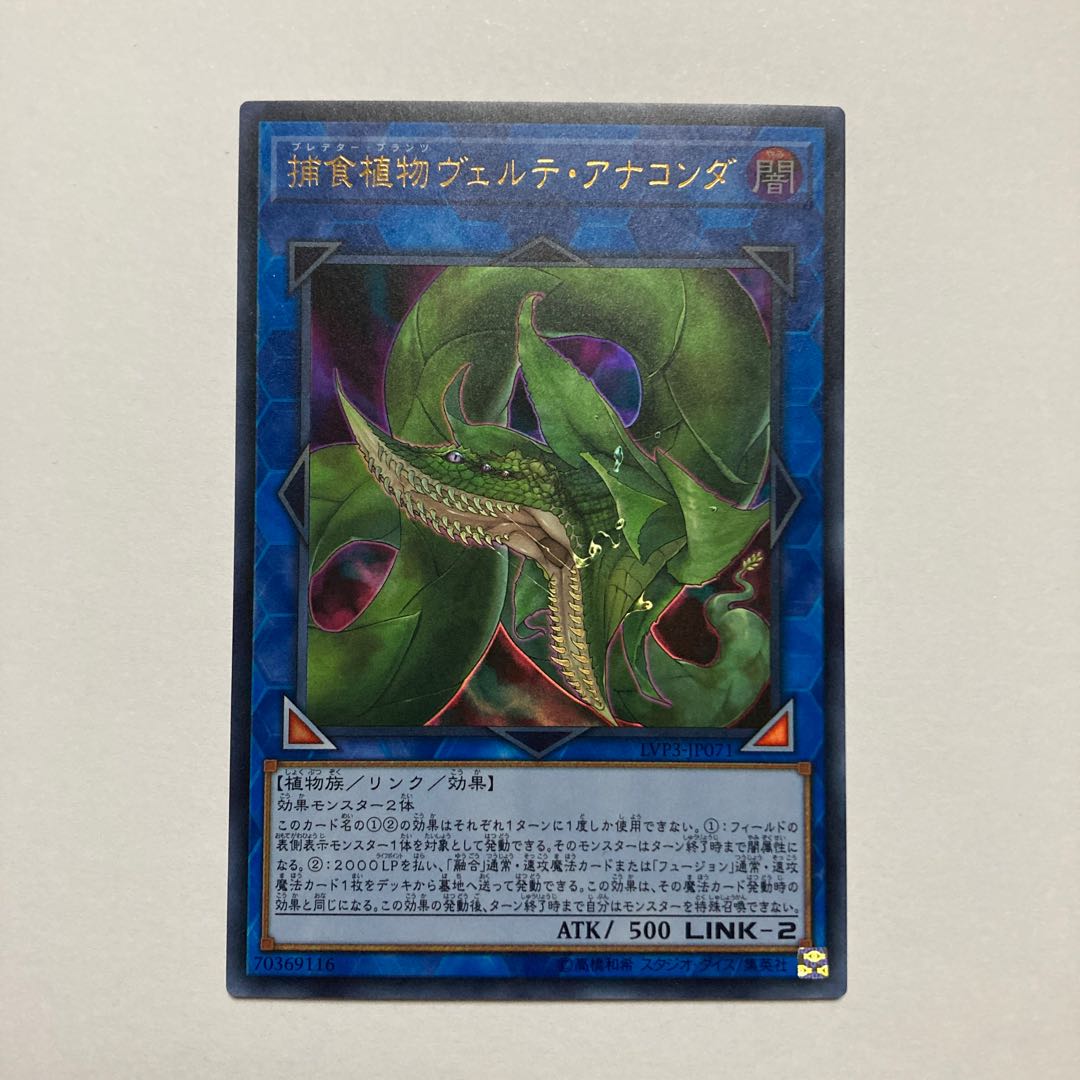 捕食植物ヴェルテ・アナコンダ ウルトラレア JP071