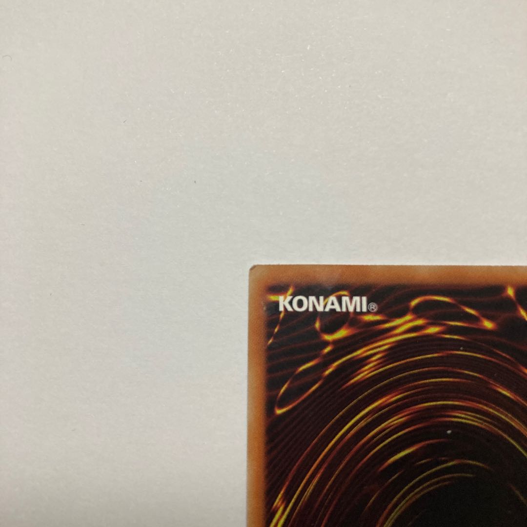 捕食植物ヴェルテ・アナコンダ ウルトラレア JP071