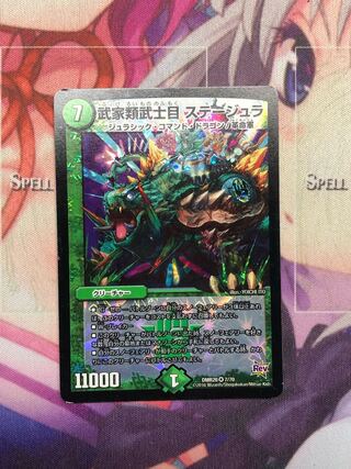 Samurai family Samurai order Stejura VR 7/70