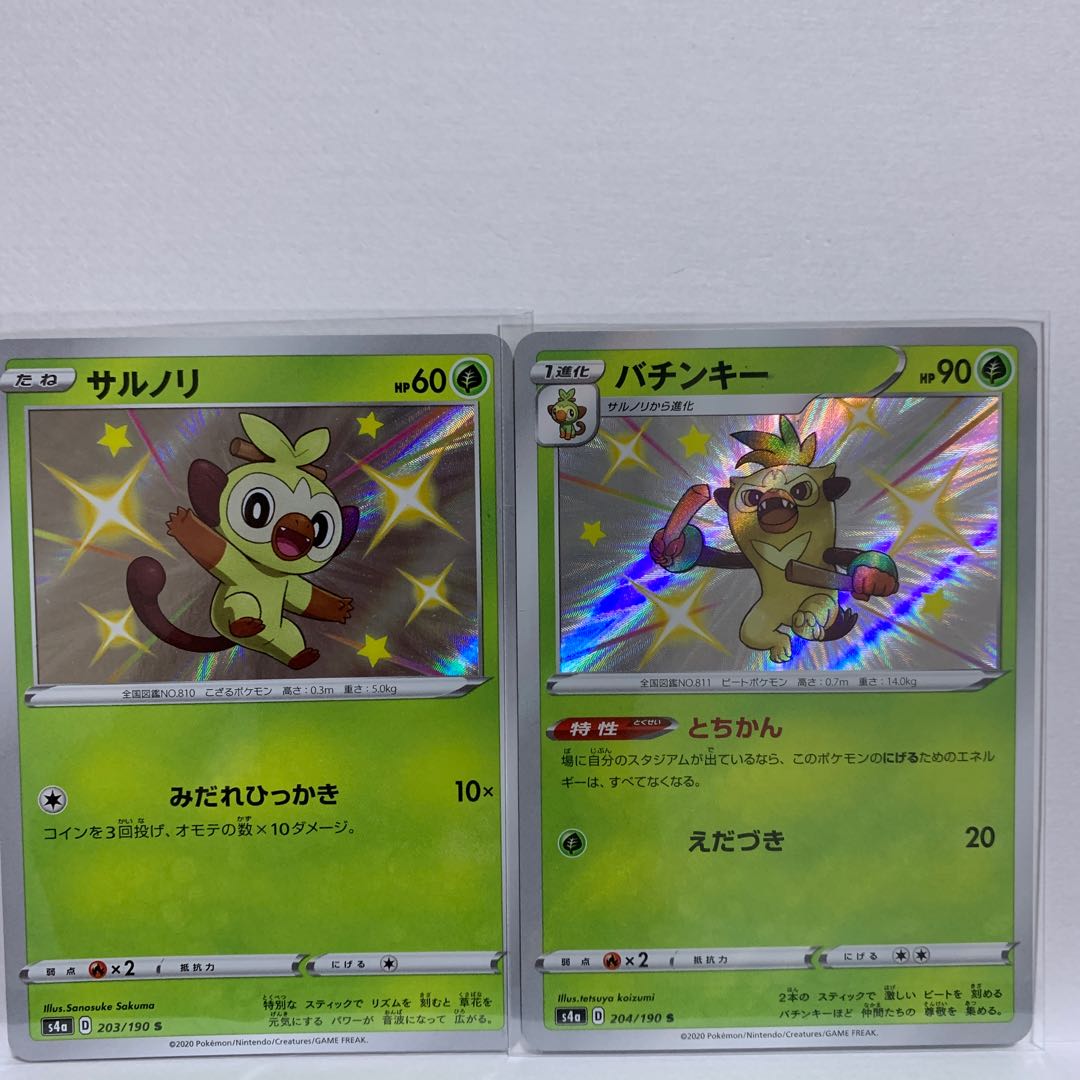 バチンキー S 204/190+サルノリ S 203/190