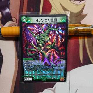 Infelix star tree (species of sedge, Infelix infelix)