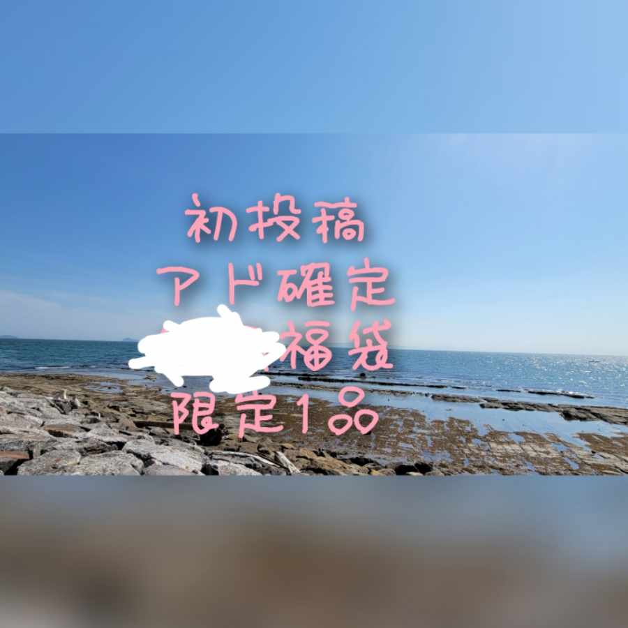 初投稿 アド確定傷有り…福袋　