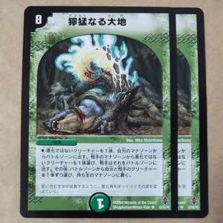 Ferocious Earth 2 pieces