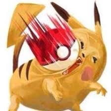 Dedicated to Mr. Hokke! Collective purchase of goods