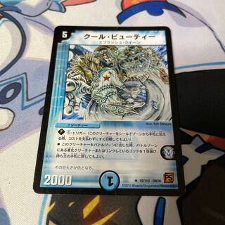 Cool Beauty R 19/110