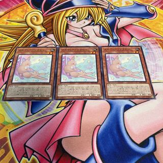 Melfi Wallaby Normal JP022