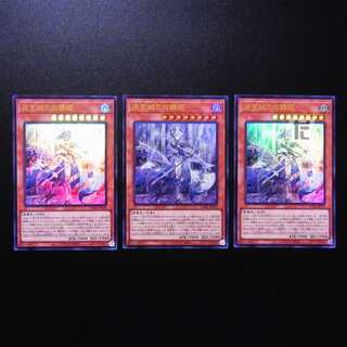 Silver Princess of the Labyrinth Castle Ultra Rare 3-card set/Managed by MY0590