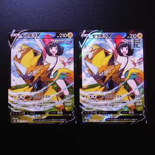 ZeraoraV CSR Set of 2 / Management:MP2450