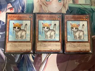 Rescue Cat 3 sheets 22TP-JP103