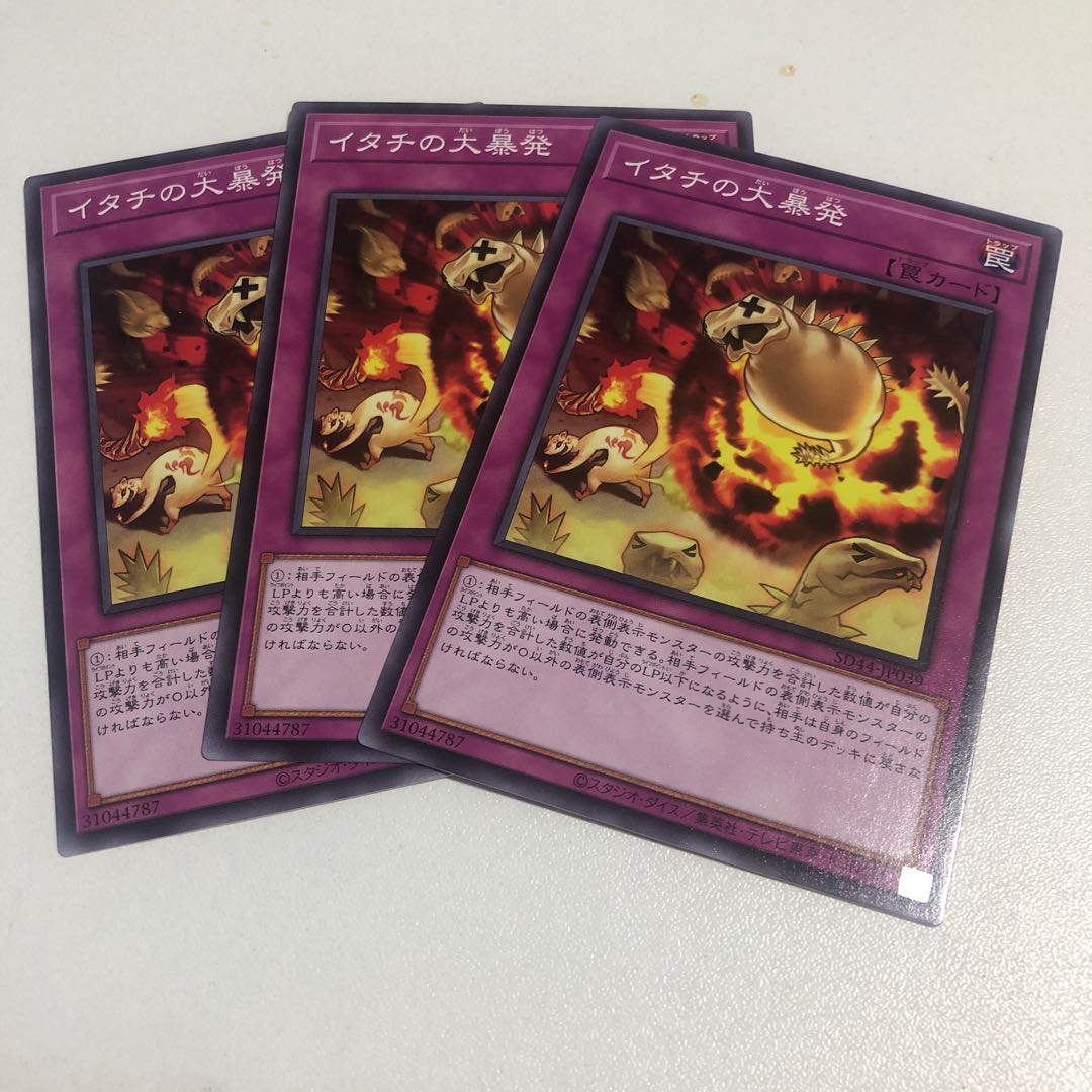 Ferret Flames Normal JP039