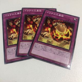 イタチの大暴発 ノーマル JP039