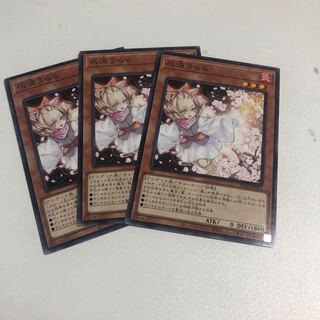 Ash Blossom & Joyous Spring Normal JP014