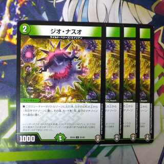 Gio Naso C 37/42 2724 1枚