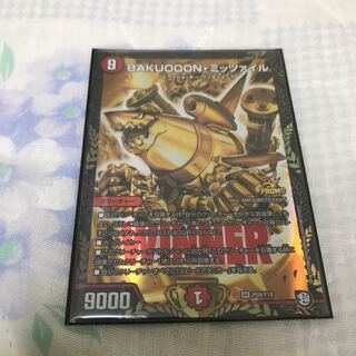 BAKUOOON Mitzvah SR P59/Y18