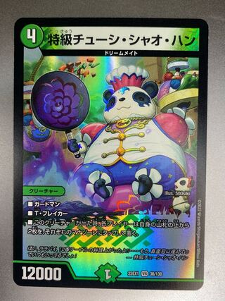 Special Grade Chushi Chao Han VR 36/130