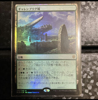 Castle Garenbrig Rare 240/269 Foil Spec.