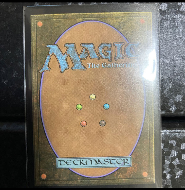 Castle Garenbrig Rare 240/269 Foil Spec.