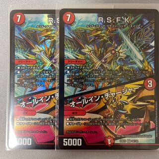 R.S.F.K.｜All-in charger VR 30/130 2pcs.