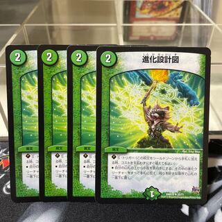 進化設計図 R 25/71