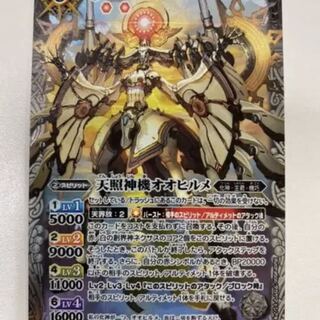 オオヒルメ 1枚