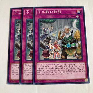 7134 十二獣の相克 ノーマル JP071