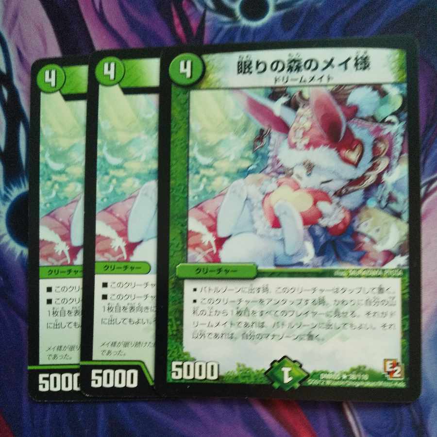 Ms. Rosa of Sleeping Forest R