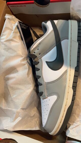 ナイキ ウィメンズ ダンク ロー "ホワイト/ライトスモークグレー-セイル-アイアン グレー" DD1503-117 27cm