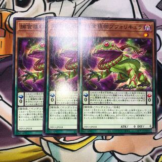 捕食植物ブフォリキュラ　ノーマル JP018