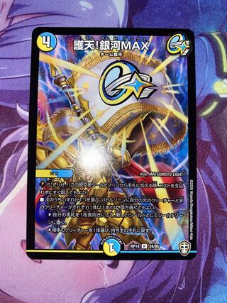 Proten! Ginga MAX R 24/95