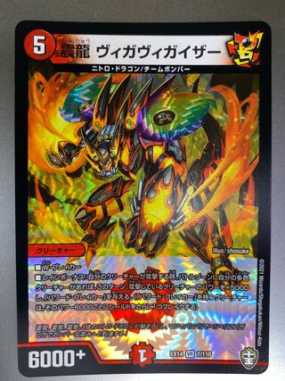 震龍 ヴィガヴィガイザー VR 7/110