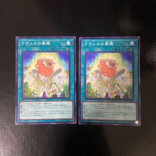 ナチュルの春風 ノーマル JP064 2枚セット 2枚