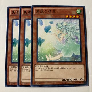 Spirit of the Fall Wind $640