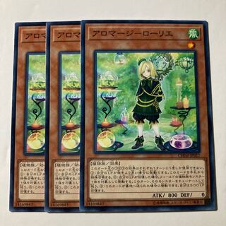 7243 Aromage - Laurier $656