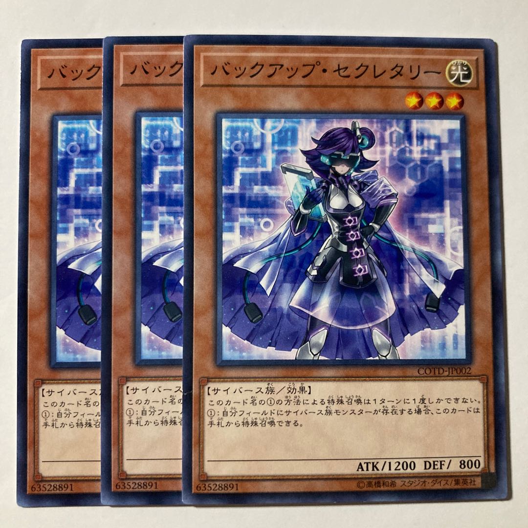 7247 Backup Secretary $660