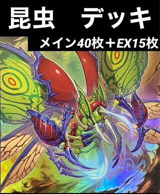 遊戯王　昆虫　デッキ　メイン40枚＋EX15枚
