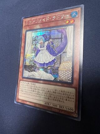 ドラゴンメイド・ラドリー　アジア　シークレット