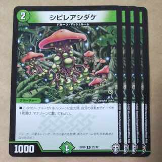 4 Poisonous Mushrooms