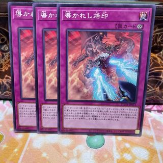 No.1427 P-ya, a brand that leads to a