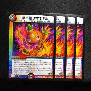 Type II Onion Gill U 54/94 2713