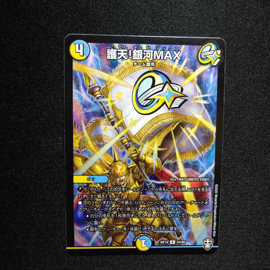 Proten! Ginga MAX R 24/95 2906