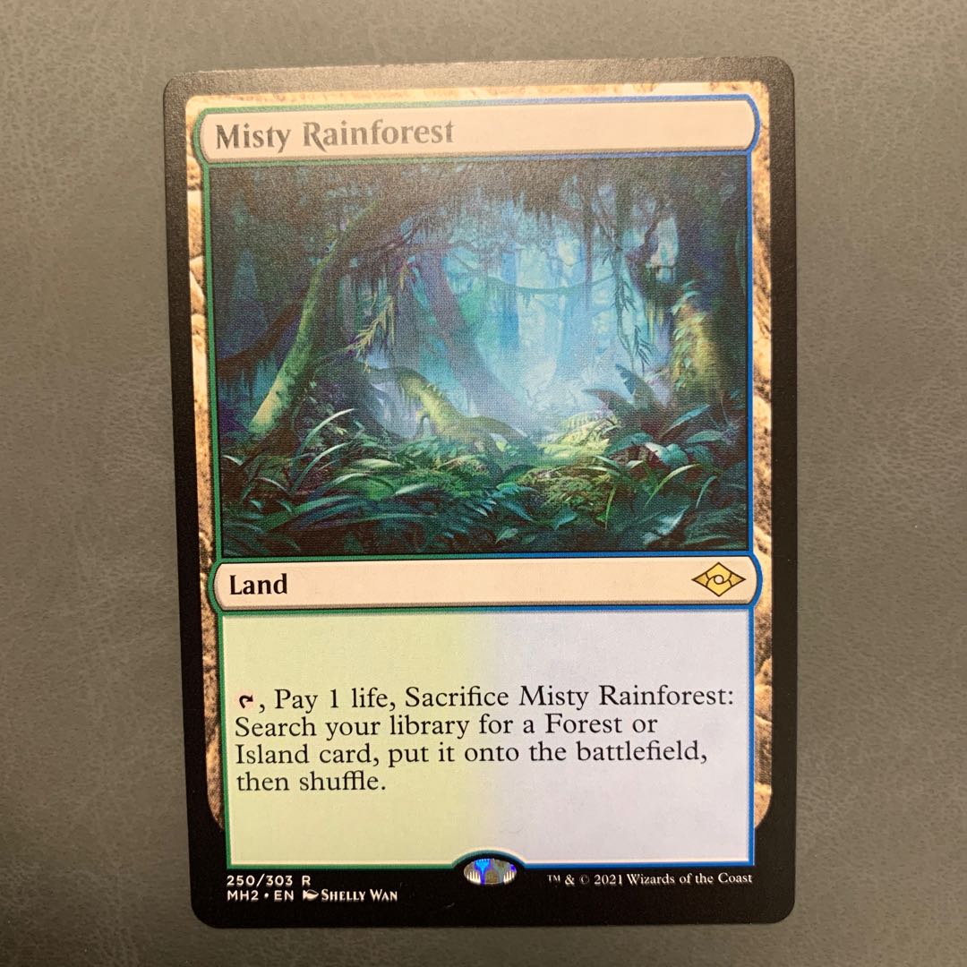 Misty Rainforest English Modern Horizon 2