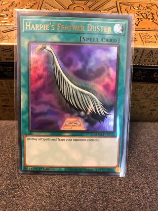 Haar Cleffa's Feather Broom, North American Edition