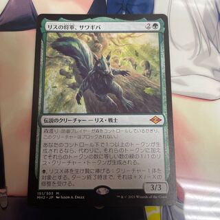 リスの将軍、サワギバ」の激安通販 | magi