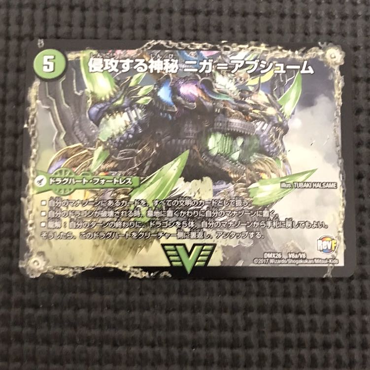 ニガアブシューム　ニガヴェルムート 1枚