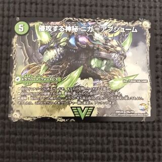 ニガアブシューム　ニガヴェルムート 1枚