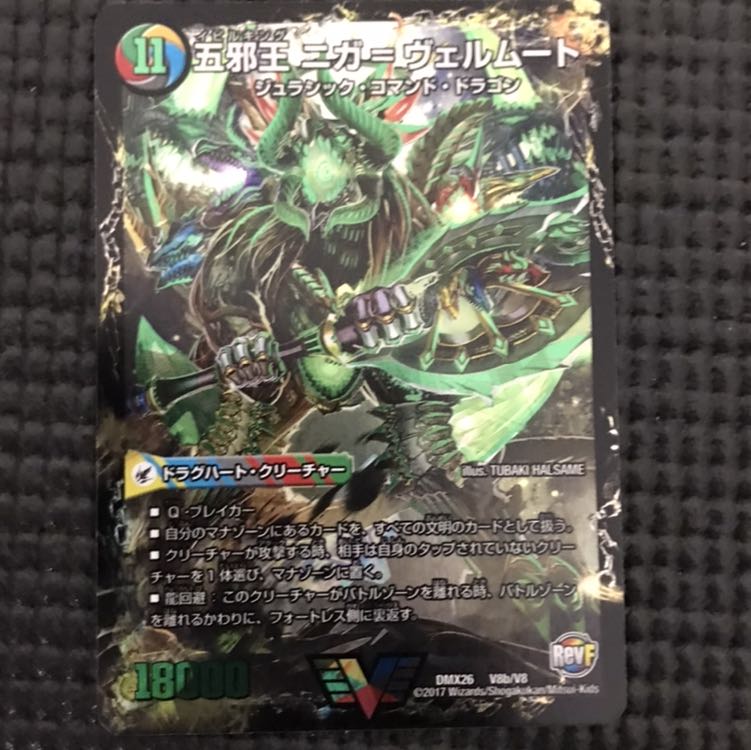 ニガアブシューム　ニガヴェルムート 1枚